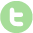 Twitter Social Media Icon