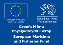 Cronfa Mor a Physgodfeydd Ewrop