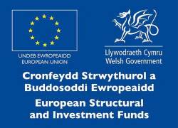 Cronfeydd Strwythurol a Buddosoddi Ewropeaidd