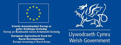 Cronfa Amaethyddol Ewrop ar gyfer Datblygu Gwledig