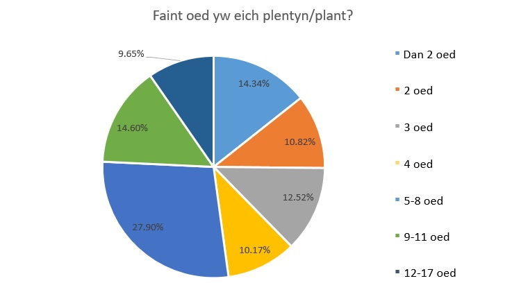 Faint oed yw eich plentyn/plant?