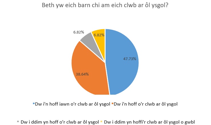 Beth yw eich barn chi am eich clwb ar ol ysgol