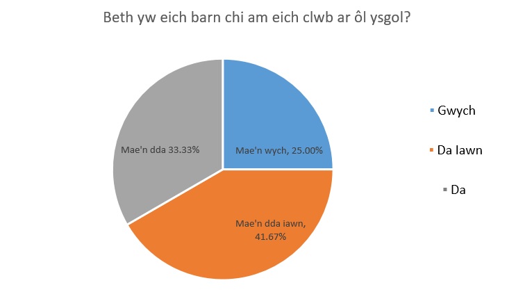 Beth yw eich barn chi am eich clwb ar ol ysgol