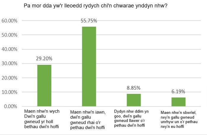 Pa mor dda yw'r lleoedd rydych chi'n chwarae ynddyn nhw?