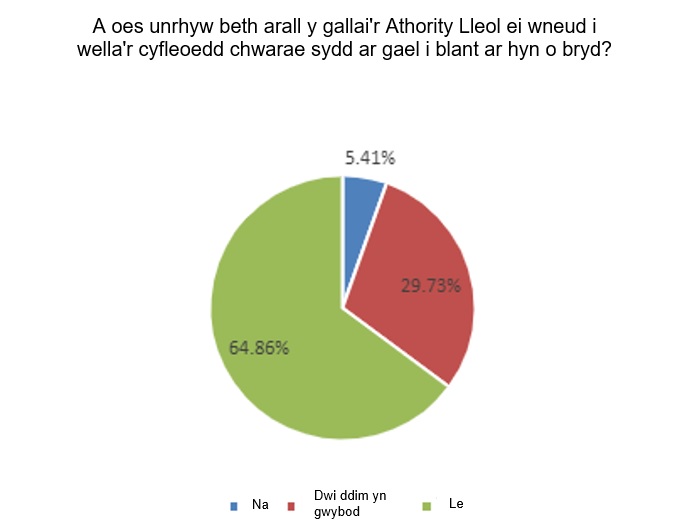 A oes unrhyw beth arall y gallai'r lleol ei wneud i wella'r cyfleoedd chwarae sydd ar gael i blant ar hyn o bryd?