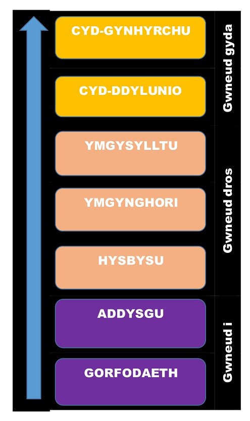 Ladder of participation