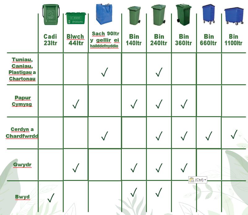 Recycling Bin Options - Welsh